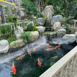 假山鱼池设计